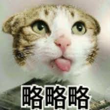 liga99 login Baru pada saat itulah Zuo Qianqian menyadari bahwa kucing putih kecil itu memiliki kerah di lehernya.